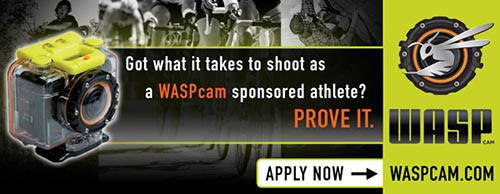 wasp sponsorship