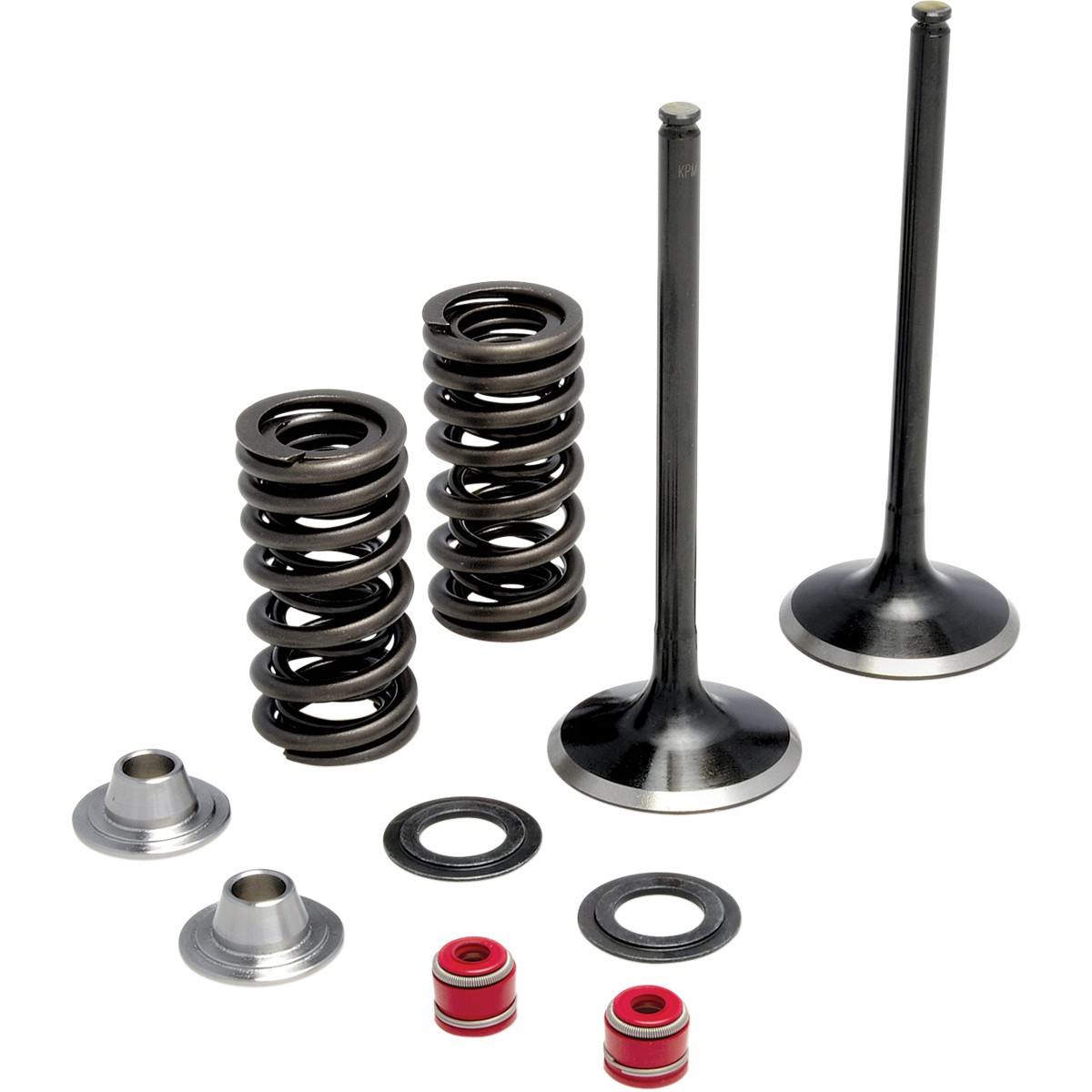 Moose Exhaust Valve And Spring Kit Fortnine Canada