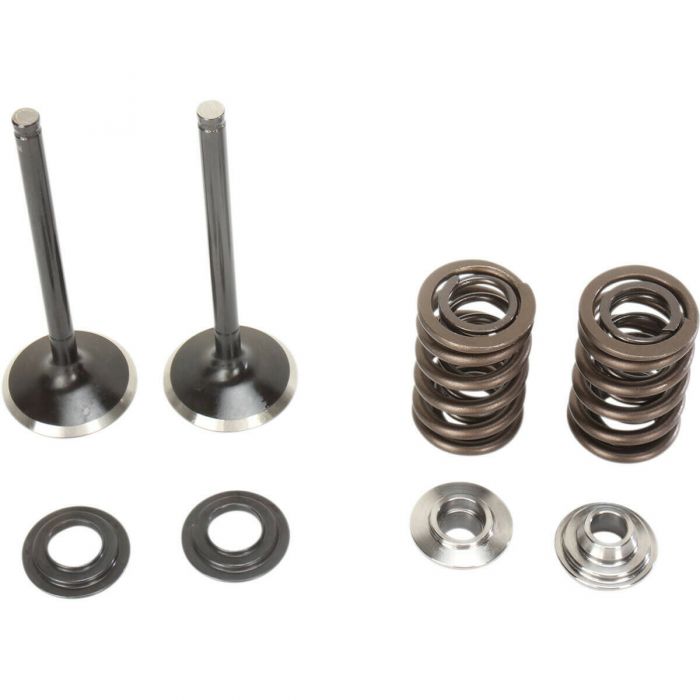 Moose Exhaust Valve And Spring Kit 0926 2452 Fortnine Canada