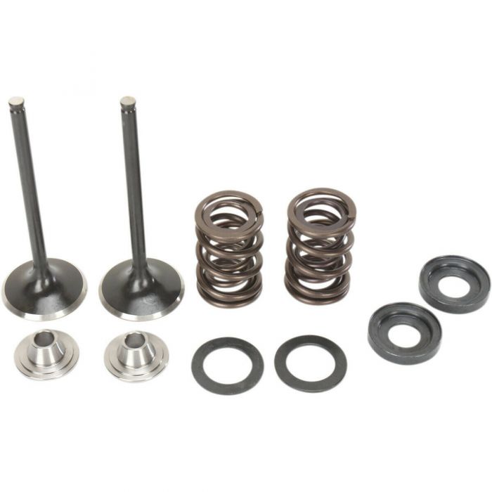 Moose Intake Valve And Spring Kit 0926 2463 Fortnine Canada