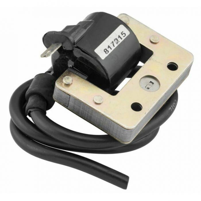 QuadBoss Ignition Coil Universal 463797 FortNine Canada