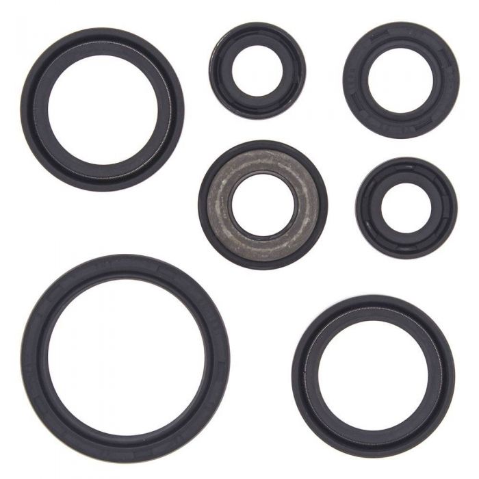 QuadBoss Oil Seal Set 564135 FortNine Canada