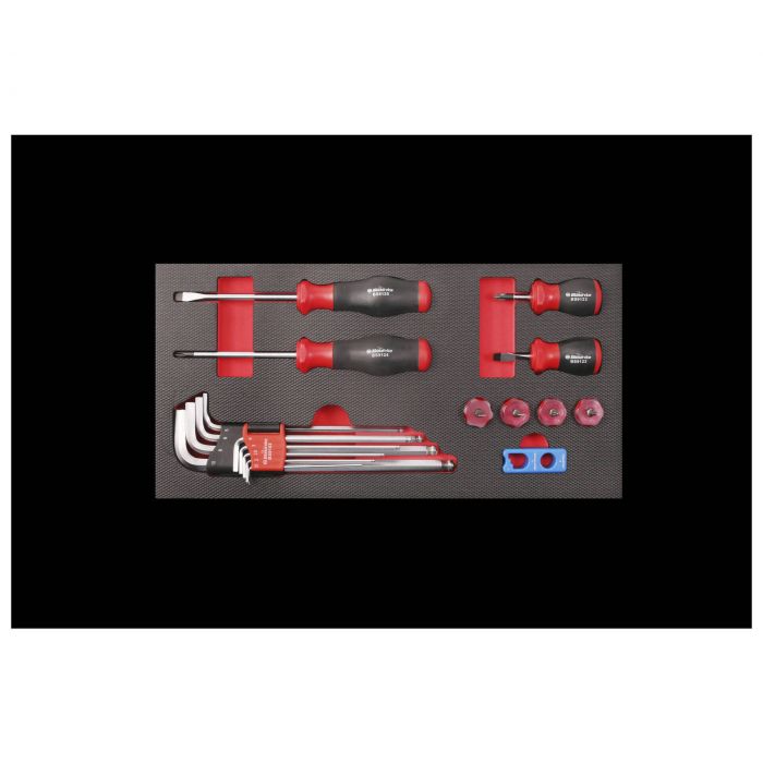 Bikeservice Screwdriver & Hex Key Tool Kit BS80074 FortNine Canada