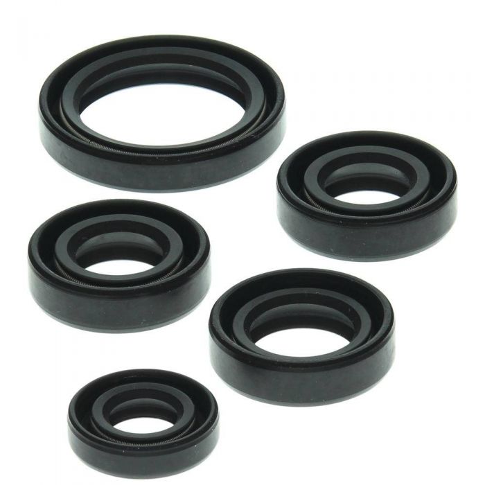 QuadBoss Oil Seal Set FortNine Canada