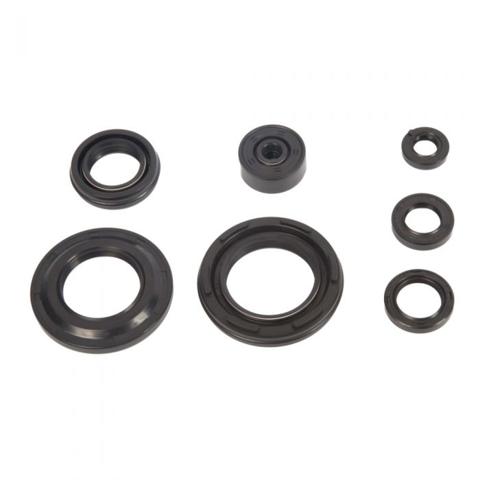 Winderosa 822251 Oil Seal Kit